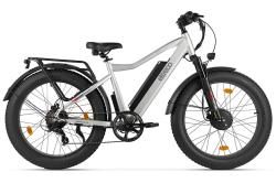 Электровелосипед Eltreco BigCat Dual Next серый внешний вид