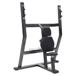 Скамья жим от плеч FitWorld FW-0670  купить в Воронеже