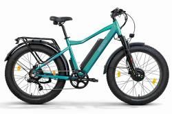 Электровелосипед Eltreco BigCat Dual Next PRO бирюзовый купить в Воронеже