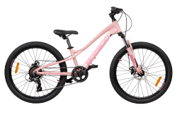 Велосипед BozGoo Bambino (LIGHT PINK/PINK) купить в Воронеже