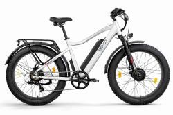 Электровелосипед Eltreco BigCat Dual Next PRO белый купить в Воронеже