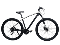Велосипед BOZGOO SUPERIOR (BLACK/GRAY) (2024) купить в Воронеже