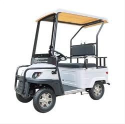 Гольфкар GreenCamel Сонора A2 ECO (2 seats 1000W R8) пониженная белый купить в Воронеже