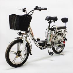 Электровелосипед GreenCamel Транк-18-60 (R18 350W 60V) Алюм купить в Воронеже